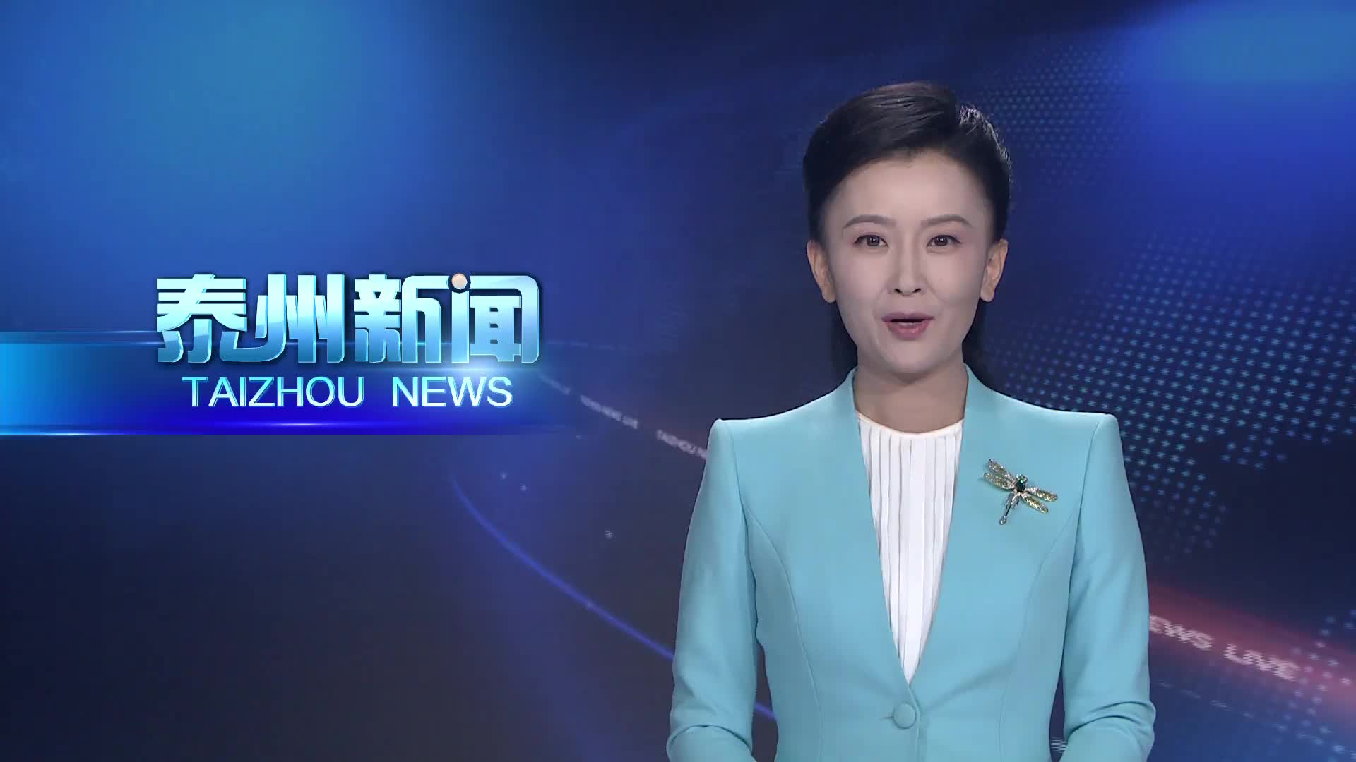 市委外事工作委员会会议、市委港澳工作领导小组会议召开  推动外事和港澳工作再上新台阶